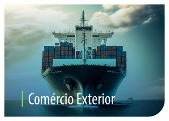 Comercio_Exterior