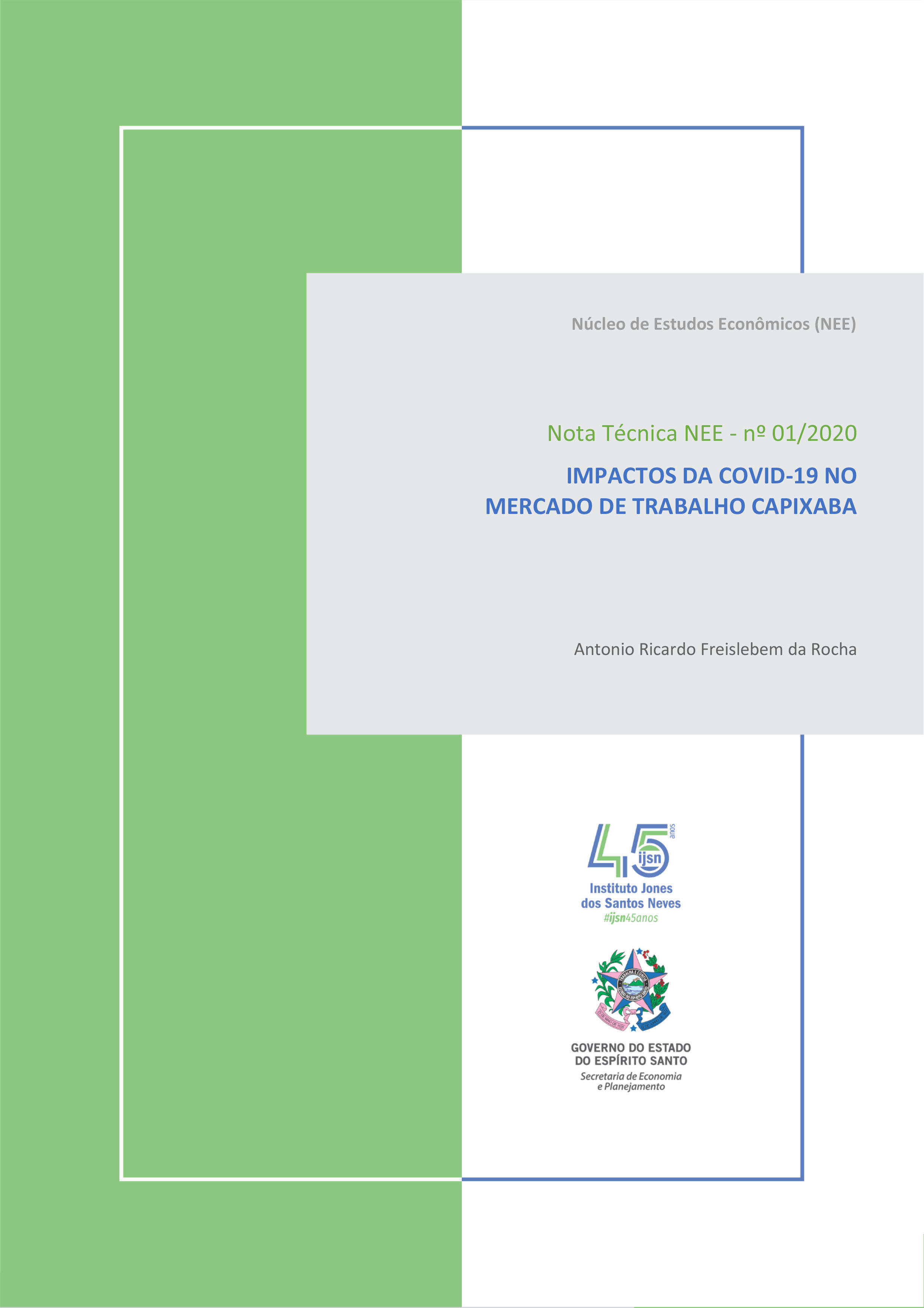 CAPA-Nota_Tecnica_NEE-n01-2020-1